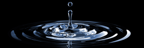 SS_Webinar_Merck_PFAS_141123_IO#_408880_Form SS_Webinar_Merck_PFAS_141123_IO#_408880_Form