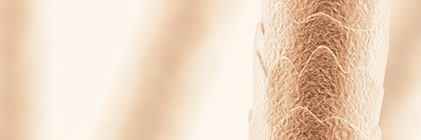Register to attend the webinar Register to attend the webinar